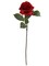 48-Pack: Red Open Rose Stem with Lifelike Silk Foliage by Floral Home®